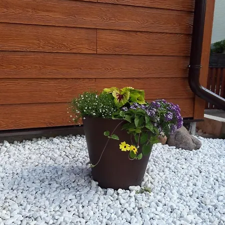 Apartmán Liux Apartamentai