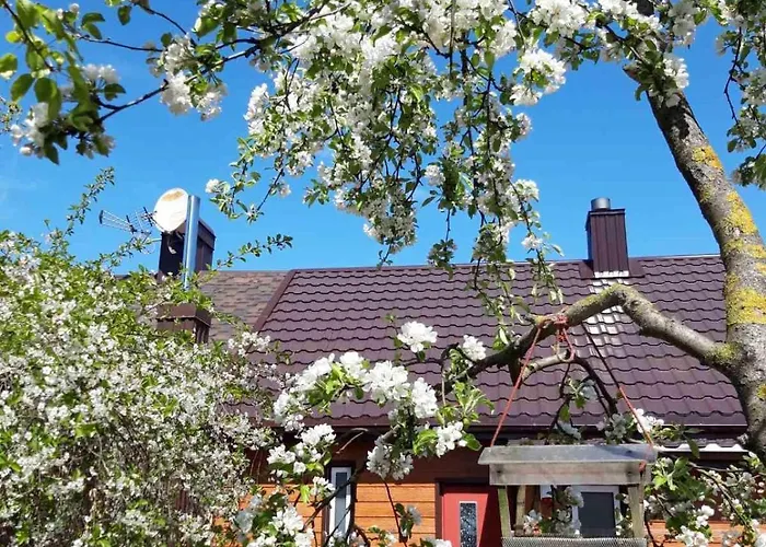 Liux Apartamentai Appartement